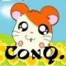 ConQuester