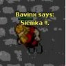 Bavinx