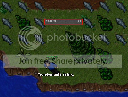 Fish65.png
