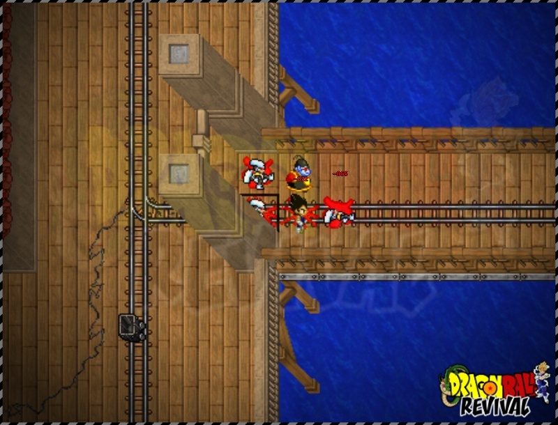 510.jpg